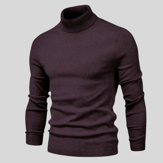 Howard | Perfect Turtleneck Sweater